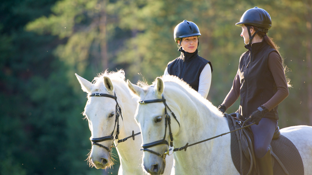 Enhance Your Horse's Well-Being with Expert Training Tips
