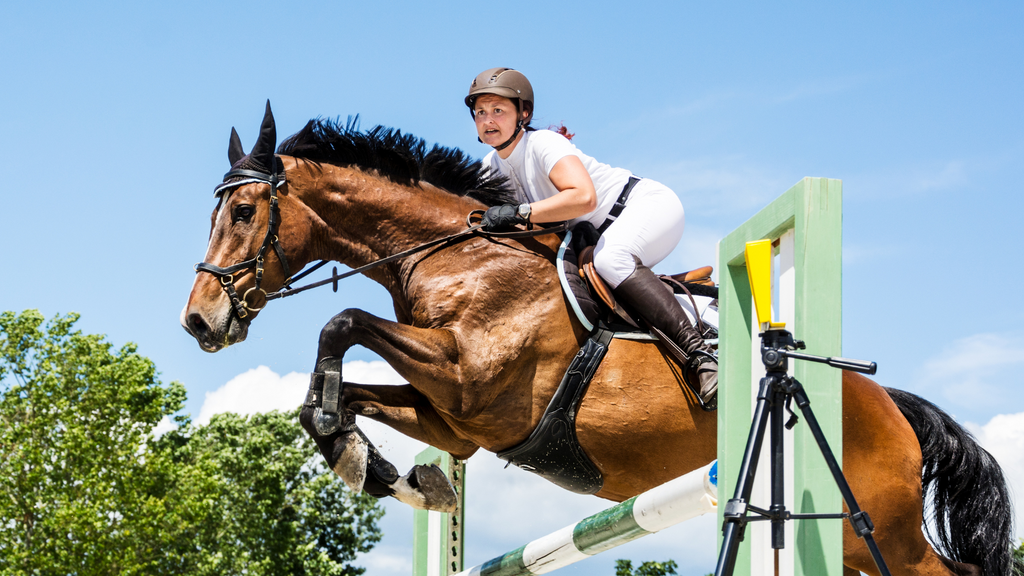 Winning Strategies for Equestrian Competitions: From Stable to Show Ring
