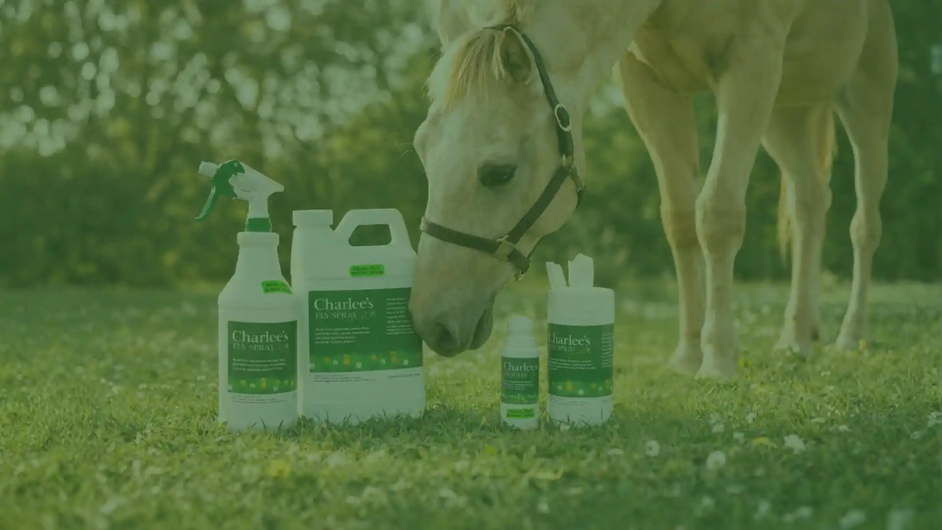 Charlee's Fly Spray Story