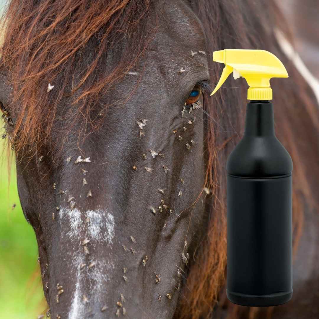 Horse Flies
