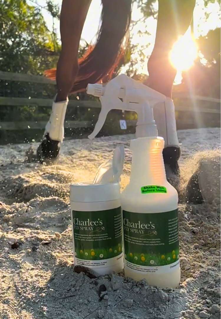 Charlee's Fly Spray