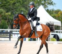 Ericka Cecere Fly Spray