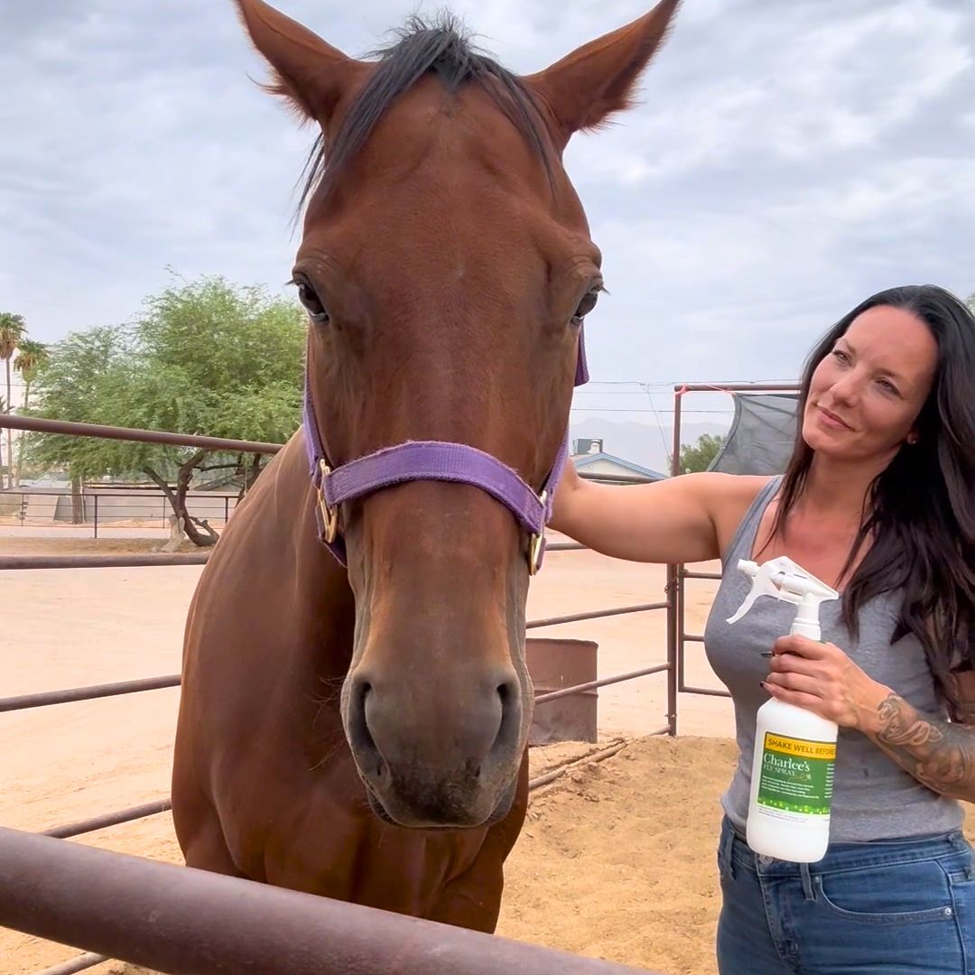 Charlee's Fly Spray Review Horse