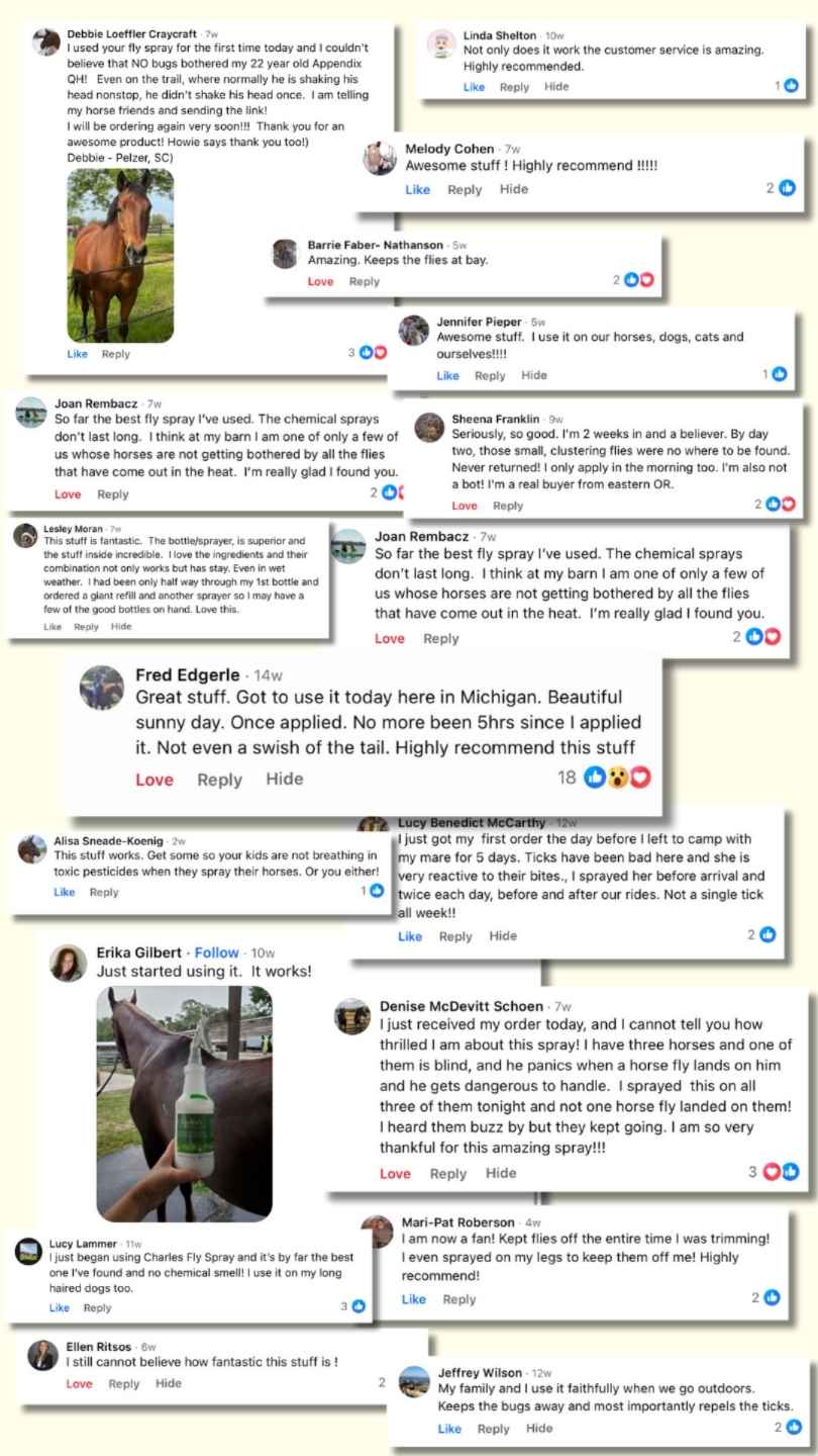 Charlee's Fly Spray Facebook Comments