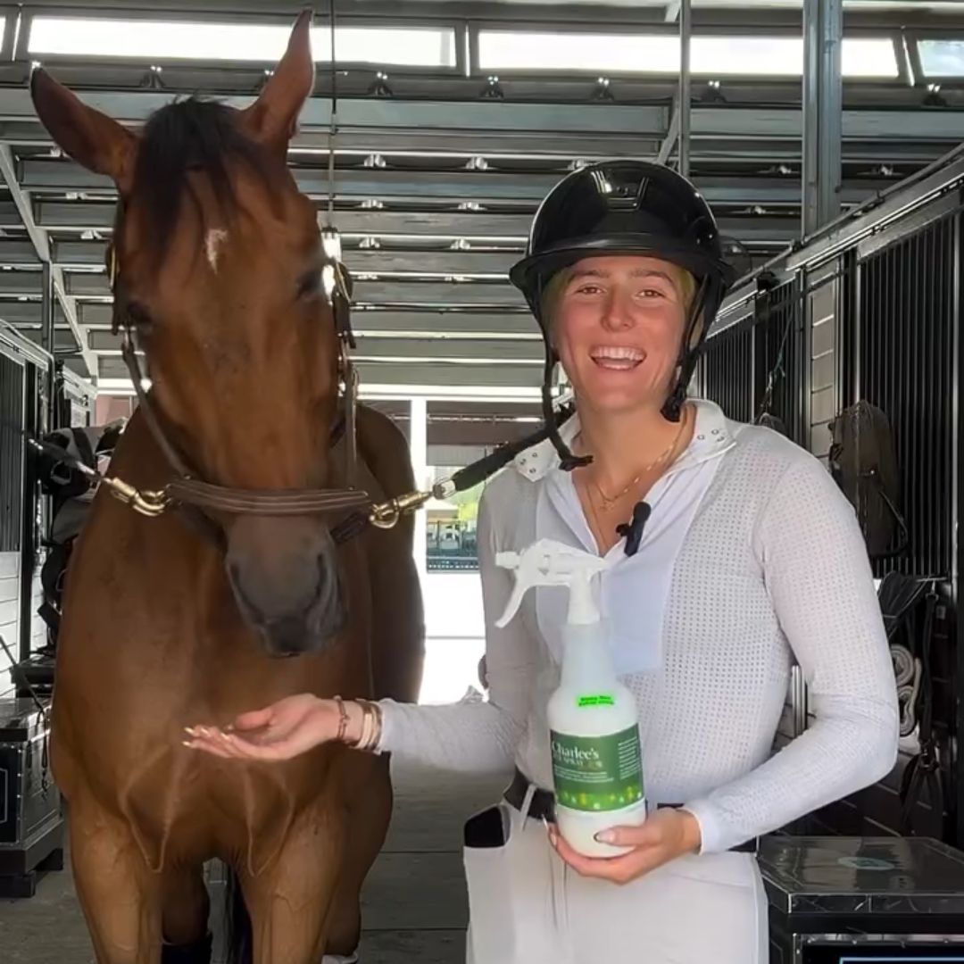 Charlee's Fly Spray Testimonial