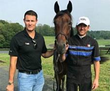 Domenico Cecere Fly Spray