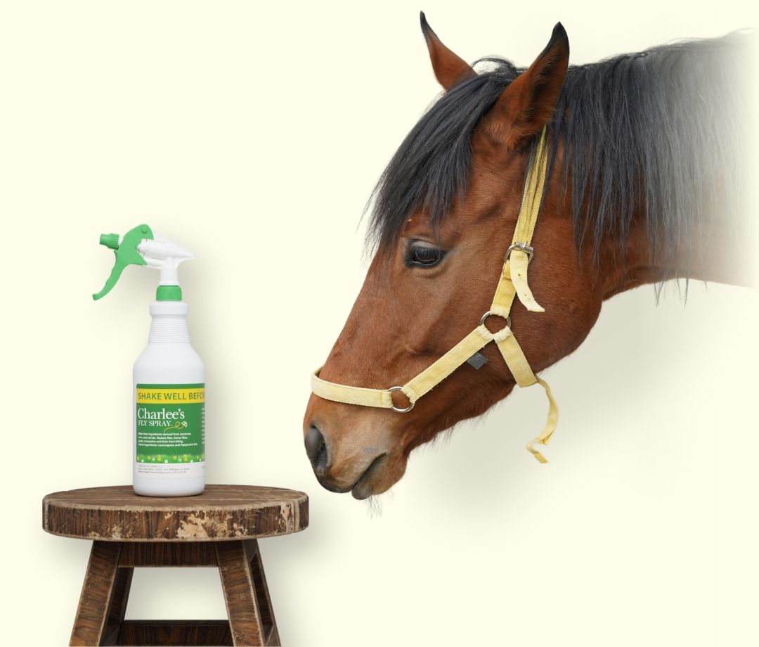Charlee's Fly Spray For Horses